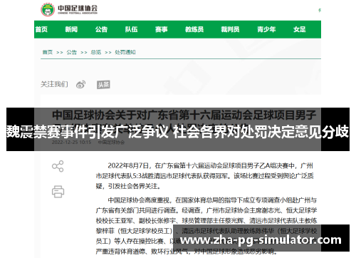 魏震禁赛事件引发广泛争议 社会各界对处罚决定意见分歧